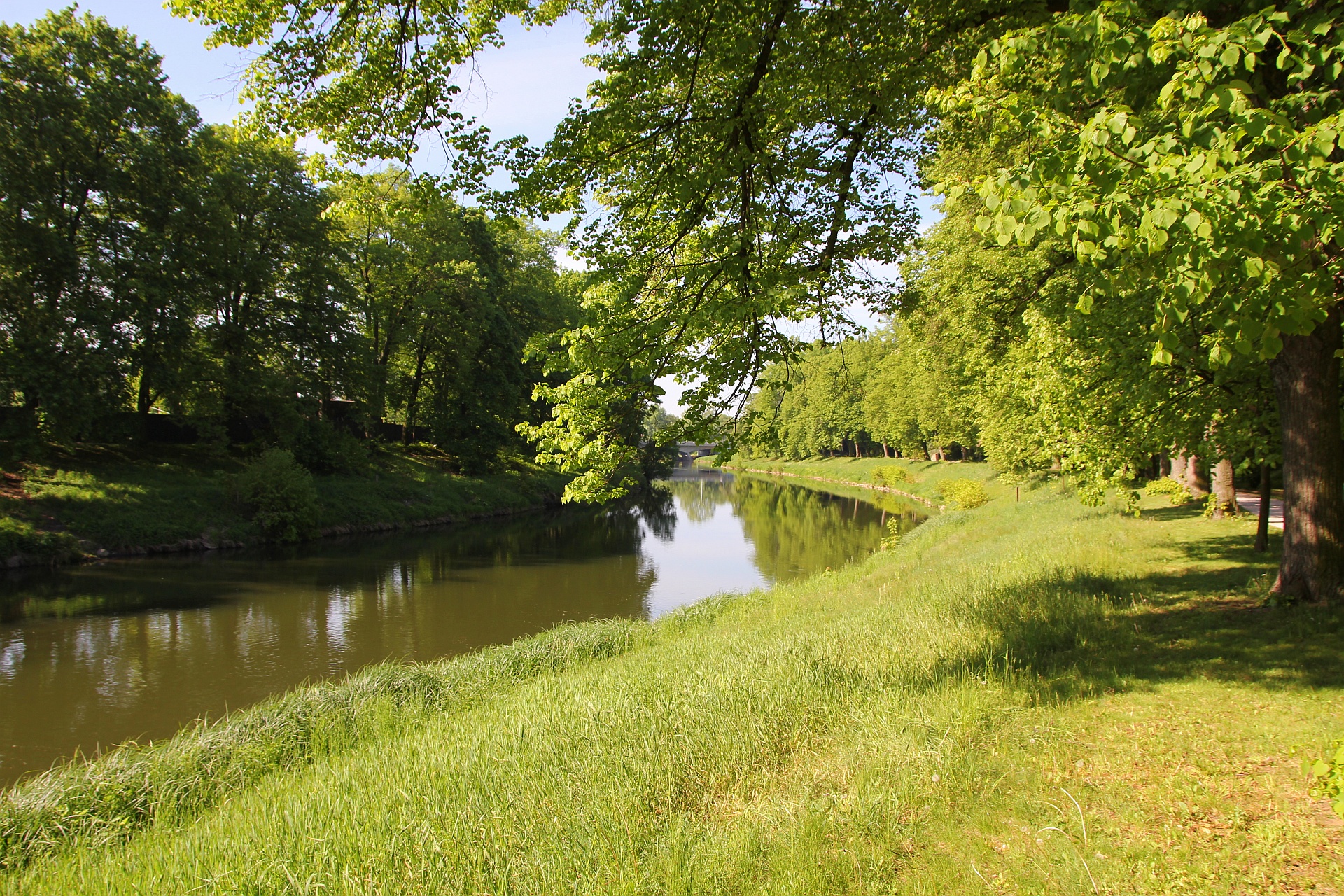 Река лето зелень без смс